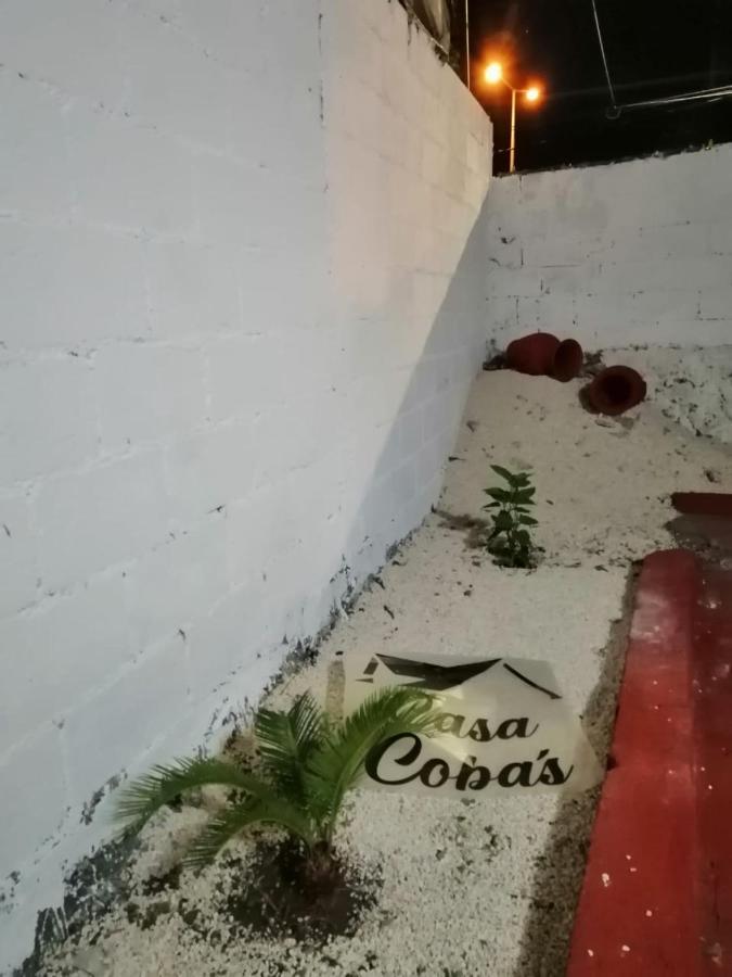 Cobas Departamentos Apartment Mérida Exterior foto